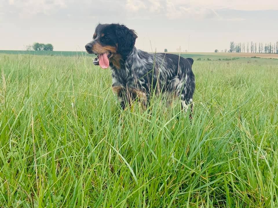 Pep's de la Coulee Notre Dame