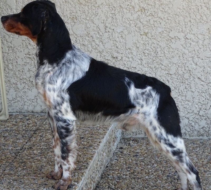 CH. Google Du pays d'artois